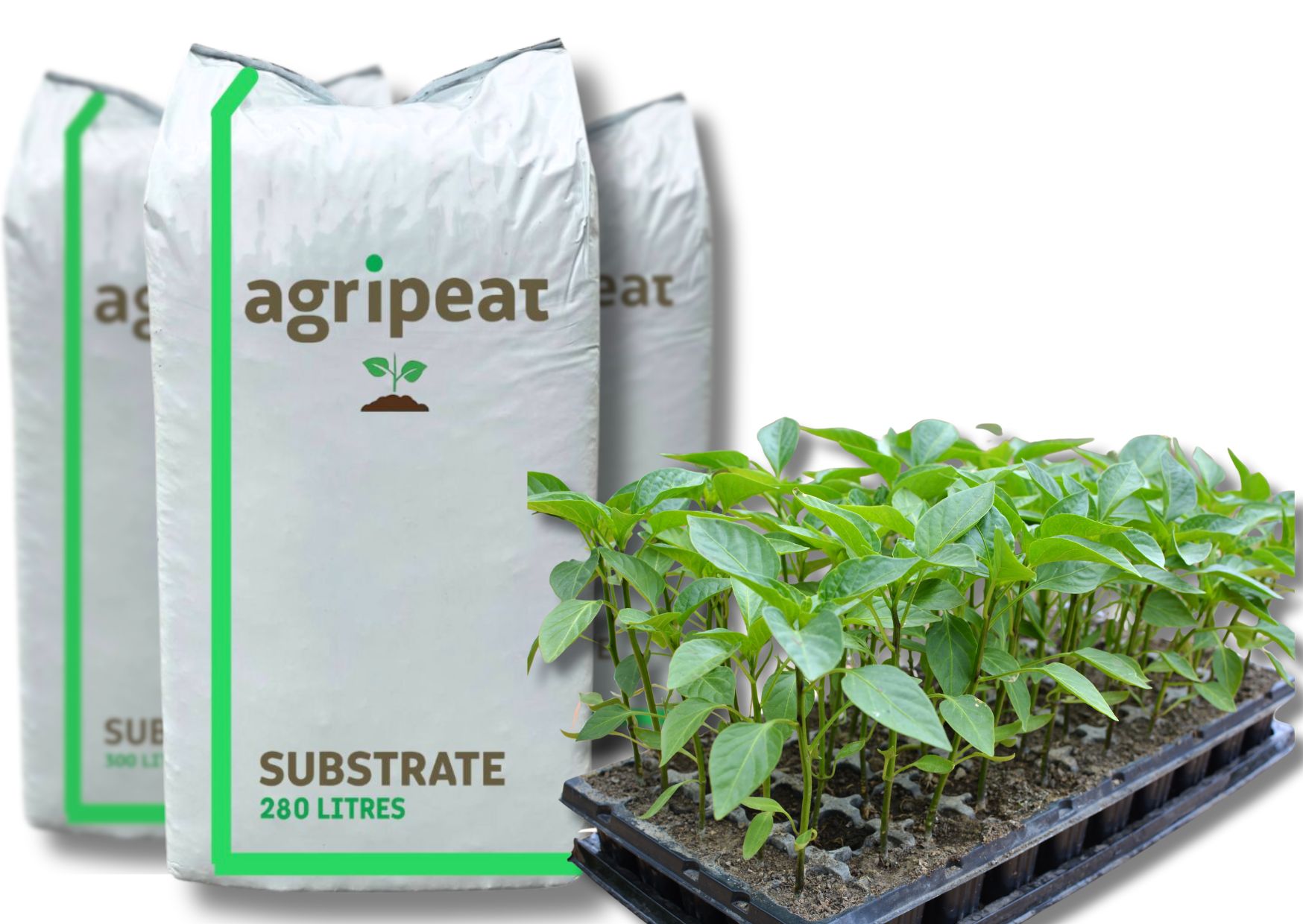 Профессиональный торф Agripeat: самый лучший выбор для ваших растений ...